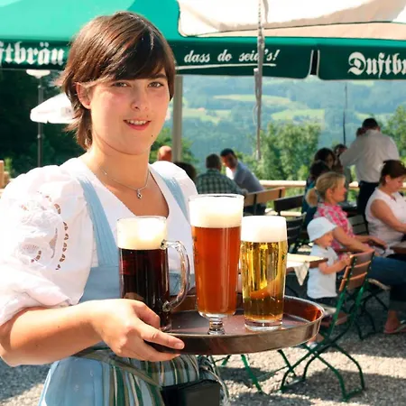 호텔 Berggasthof Duftbraeu I Ruhige Alleinlage I Mitten Im Gruenen 자마베르크