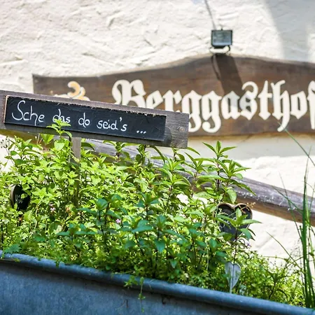 호텔 Berggasthof Duftbraeu I Ruhige Alleinlage I Mitten Im Gruenen