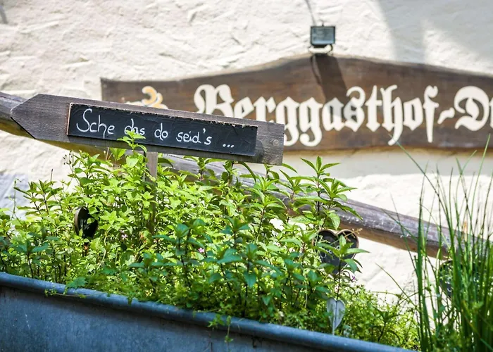 Hotell Berggasthof Duftbraeu I Ruhige Alleinlage I Mitten Im Gruenen